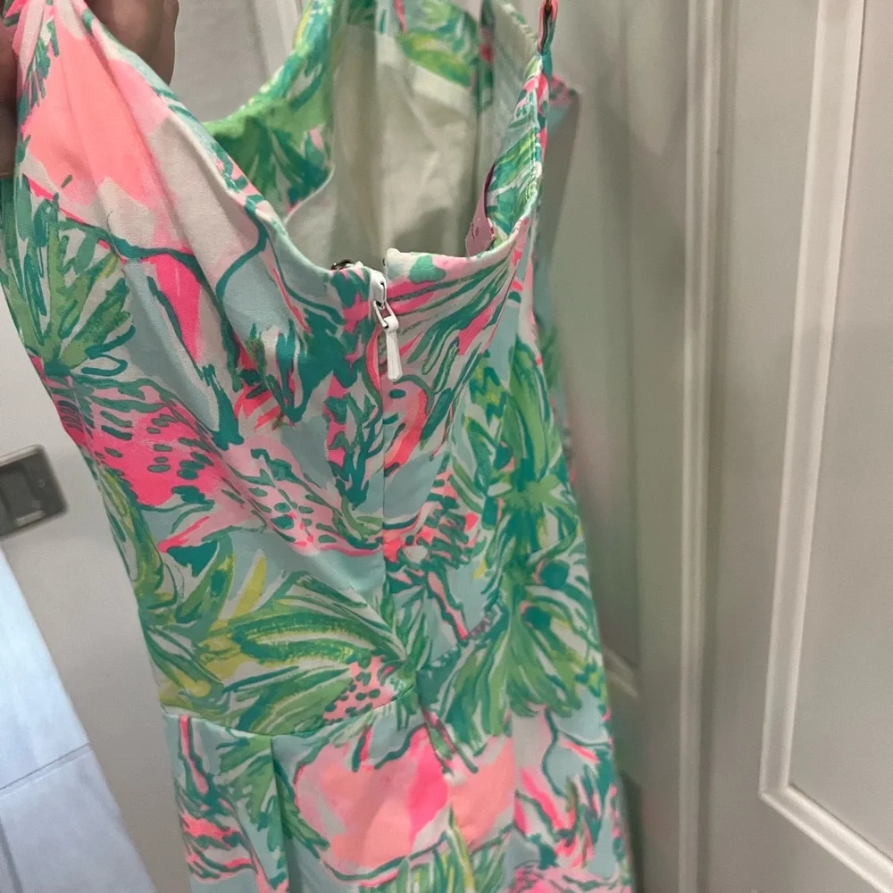 Lilly Pulitzer Easton Swing Dress - Picture 8 of 8